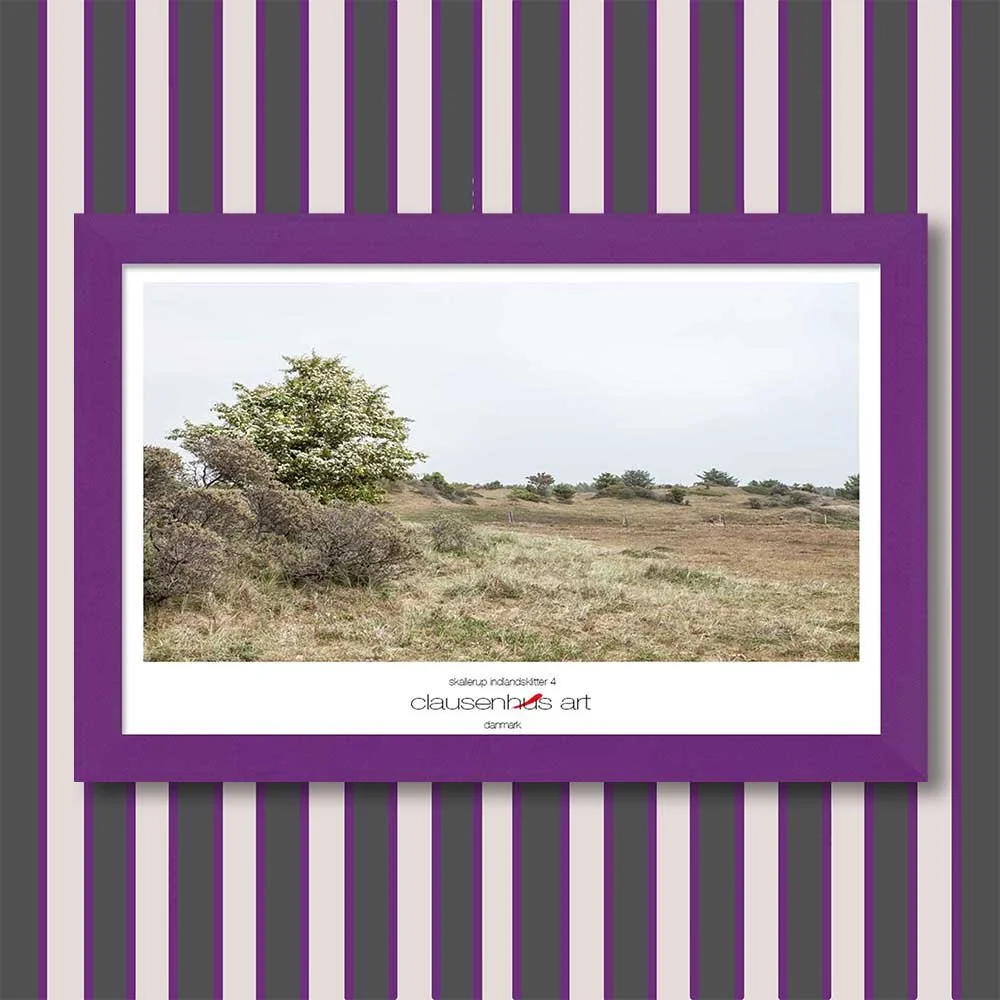 skallerup-indlandsklitter-4-copy.jpg