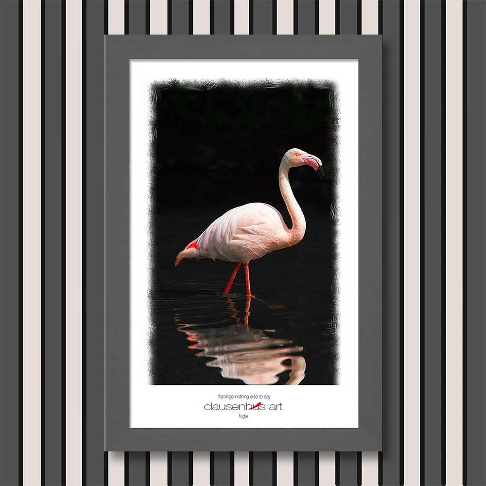 flamingo-nothing-else-to-say.jpg
