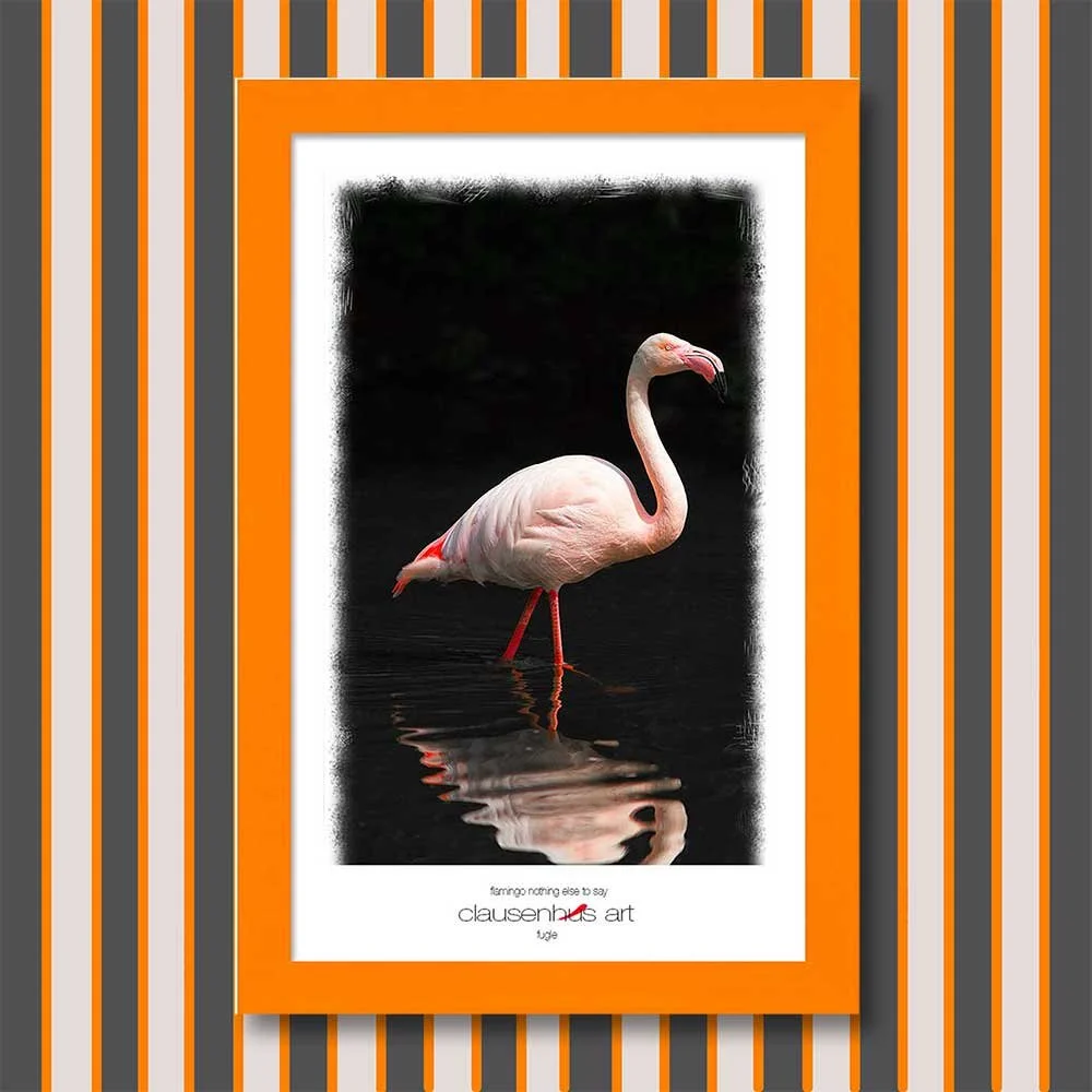 flamingo-nothing-else-to-say.jpg