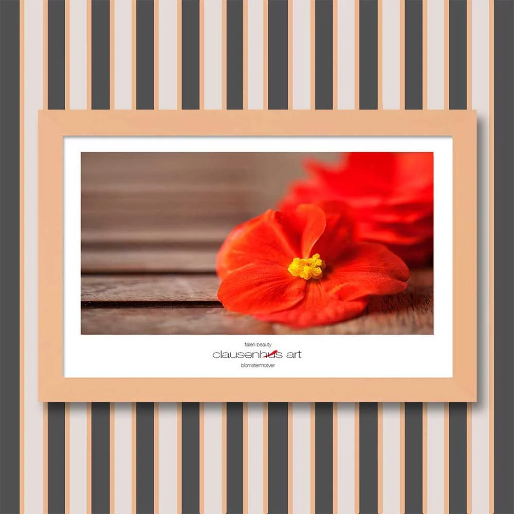 fallen-beauty-copy.jpg