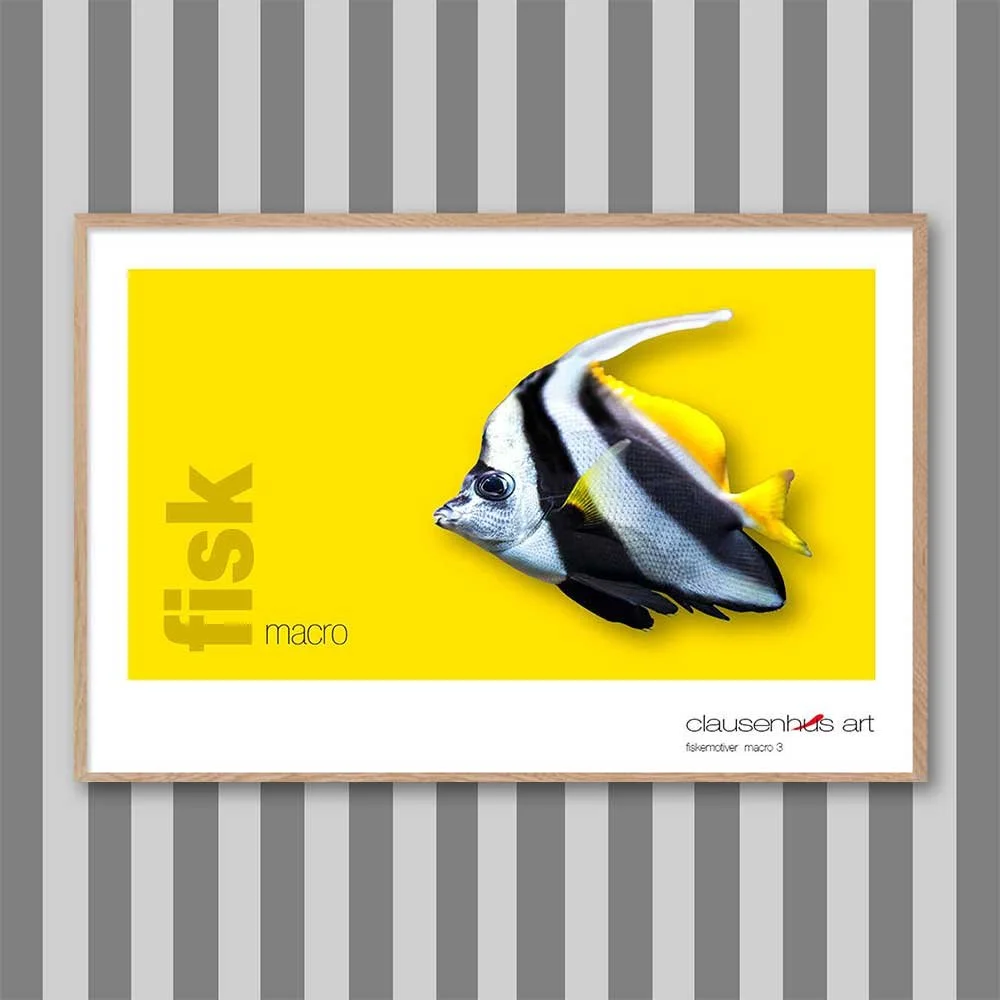 fiskemotiv-3-copy.jpg