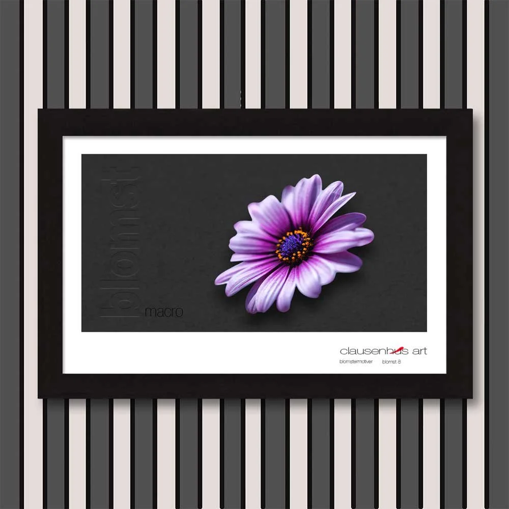 blomst-8.jpg