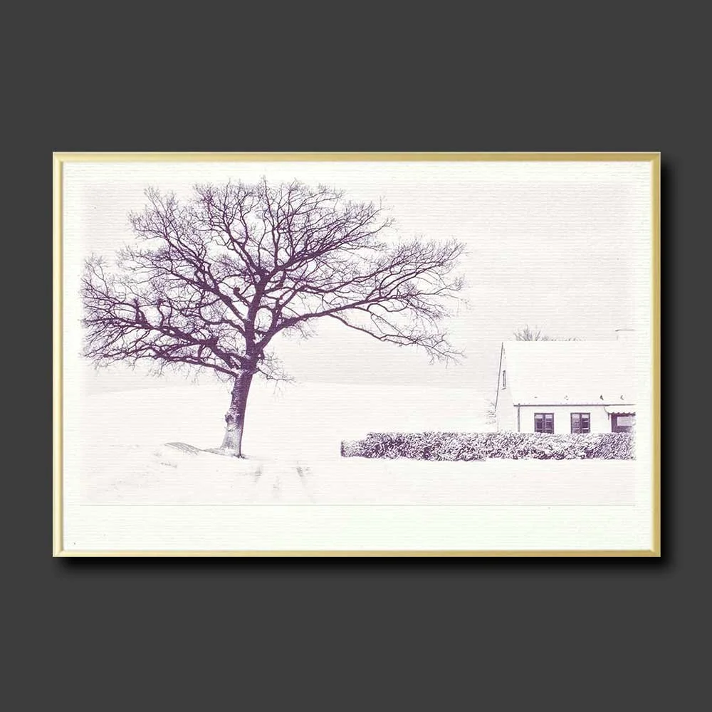 white-season-copy.jpg