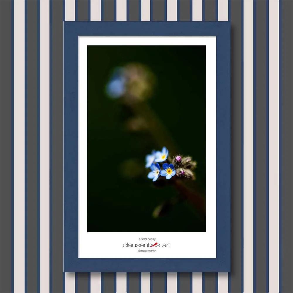 a-small-beauty-copy.jpg