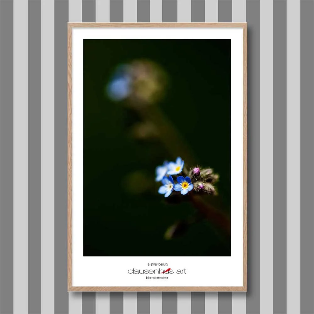 a-small-beauty-copy.jpg