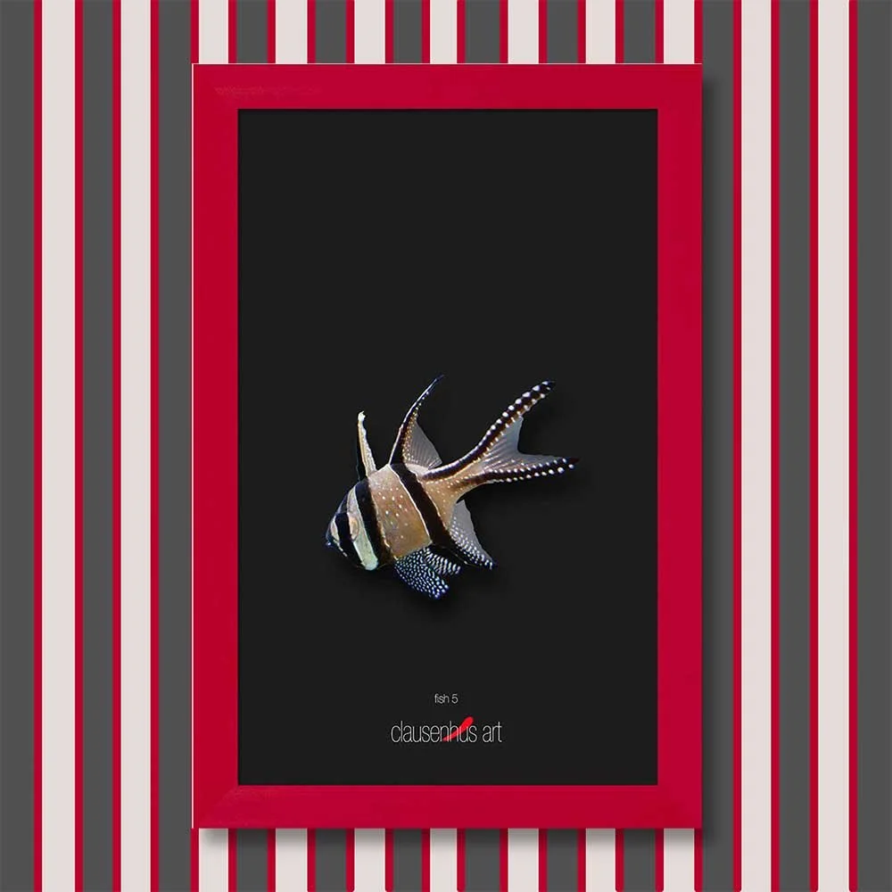 fish-5-copy.jpg