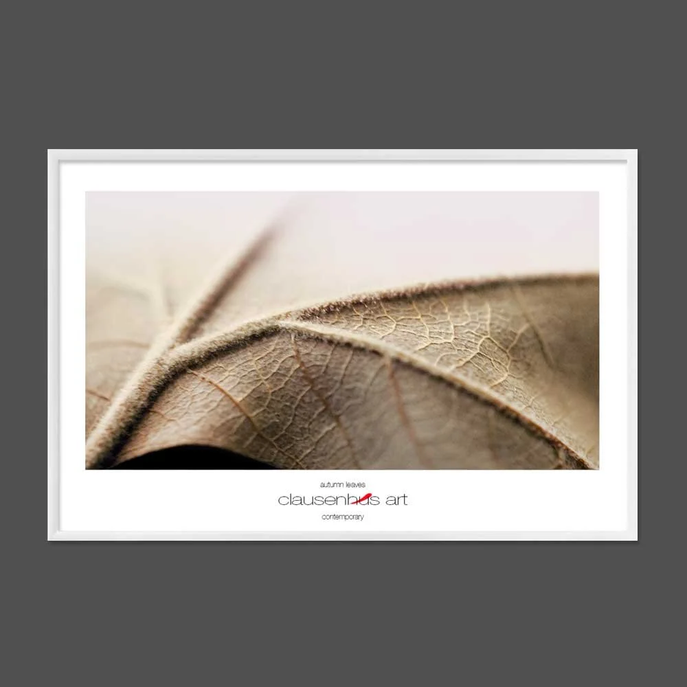 autumn-leaves-copy.jpg