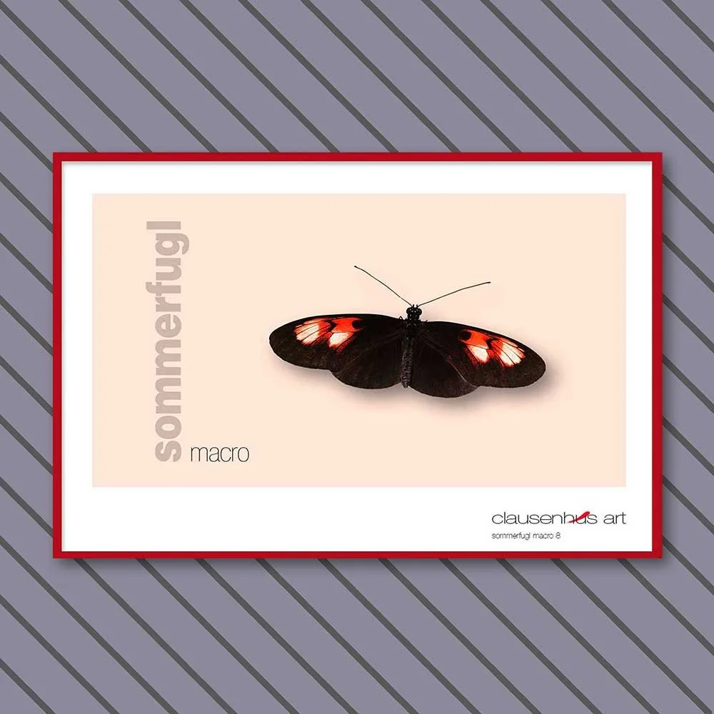 sommerfugl-8-copy.jpg