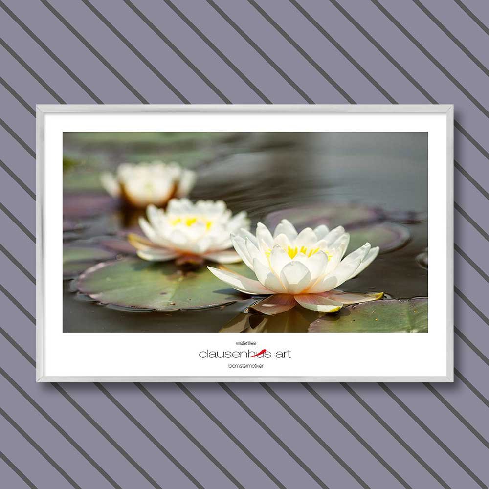 waterlilies-copy.jpg