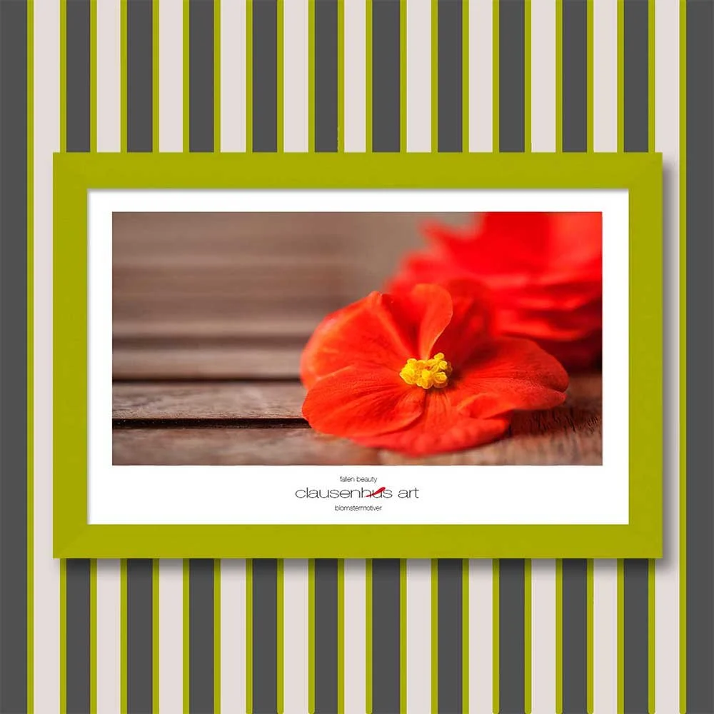 fallen-beauty-copy.jpg