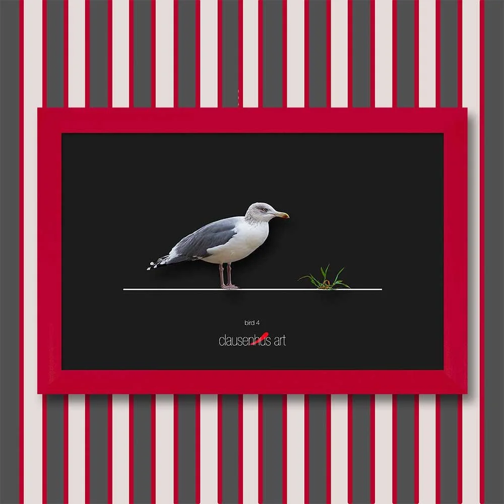bird-4-copy.jpg