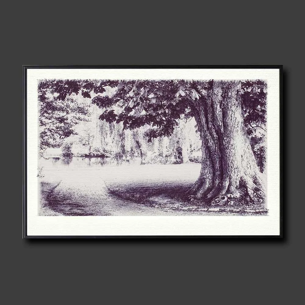 a-walk-in-the-park-copy.jpg