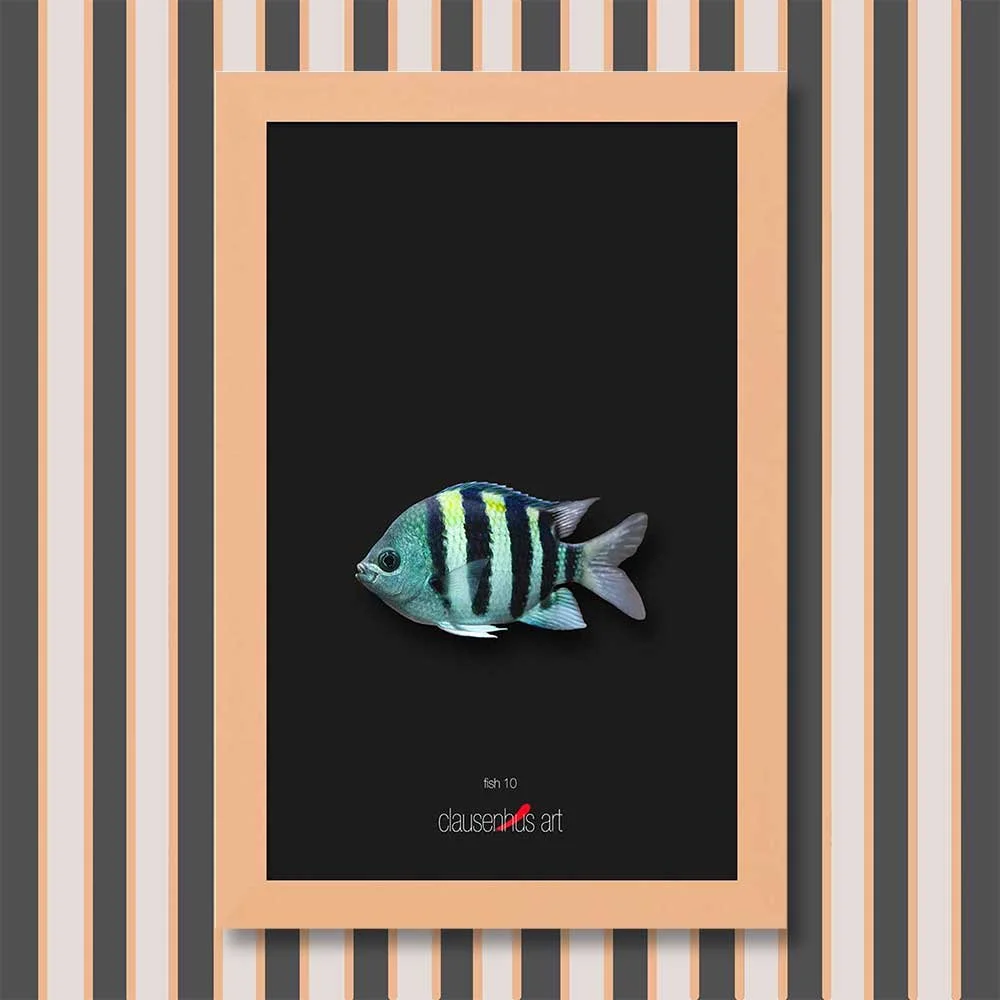 fish-10-copy.jpg