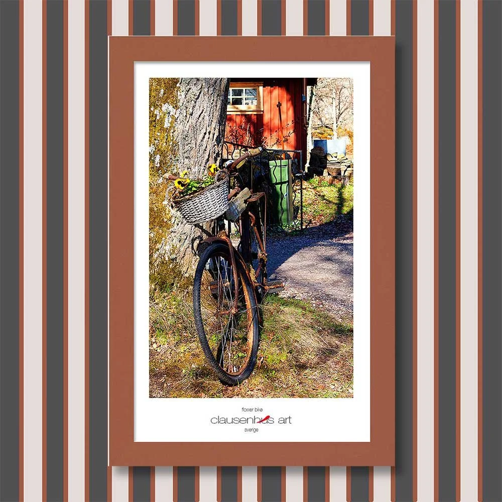 flower-bike-copy.jpg