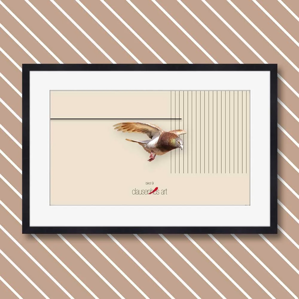 bird-9.jpg