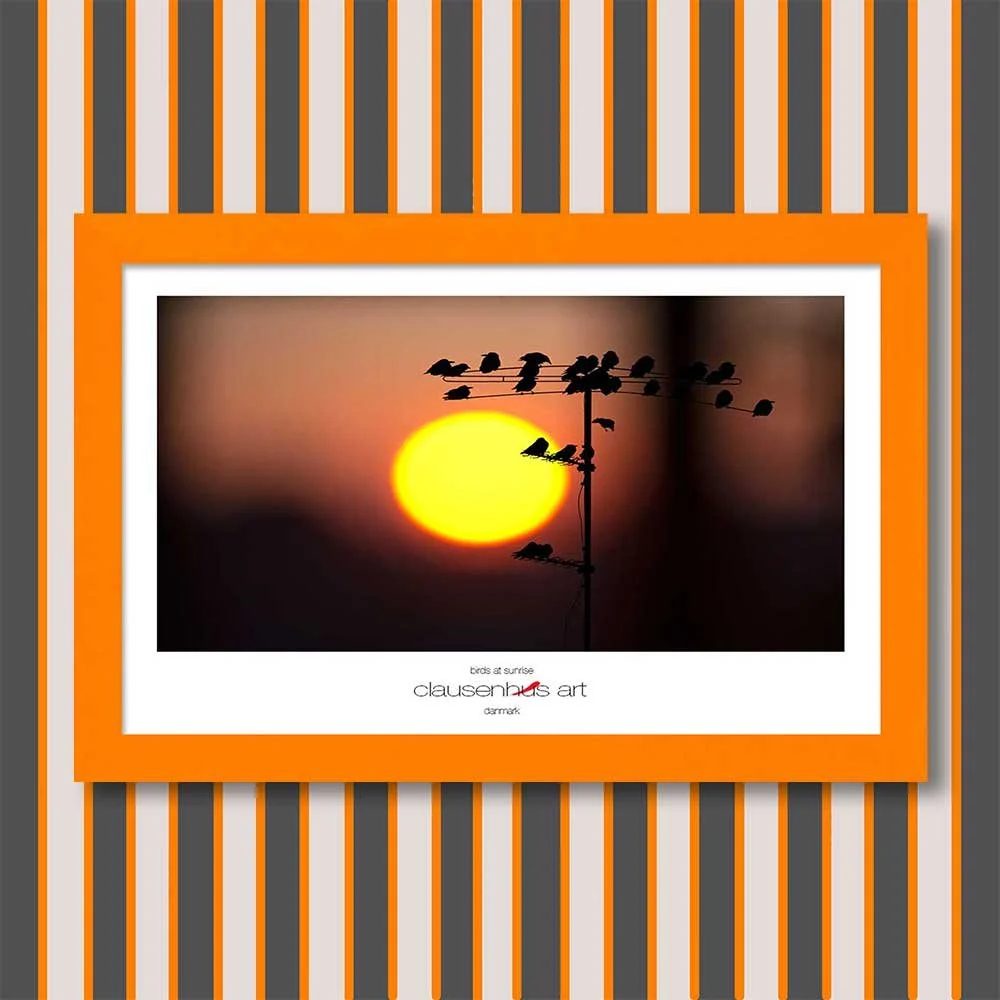 birds-at-sunrise-copy.jpg