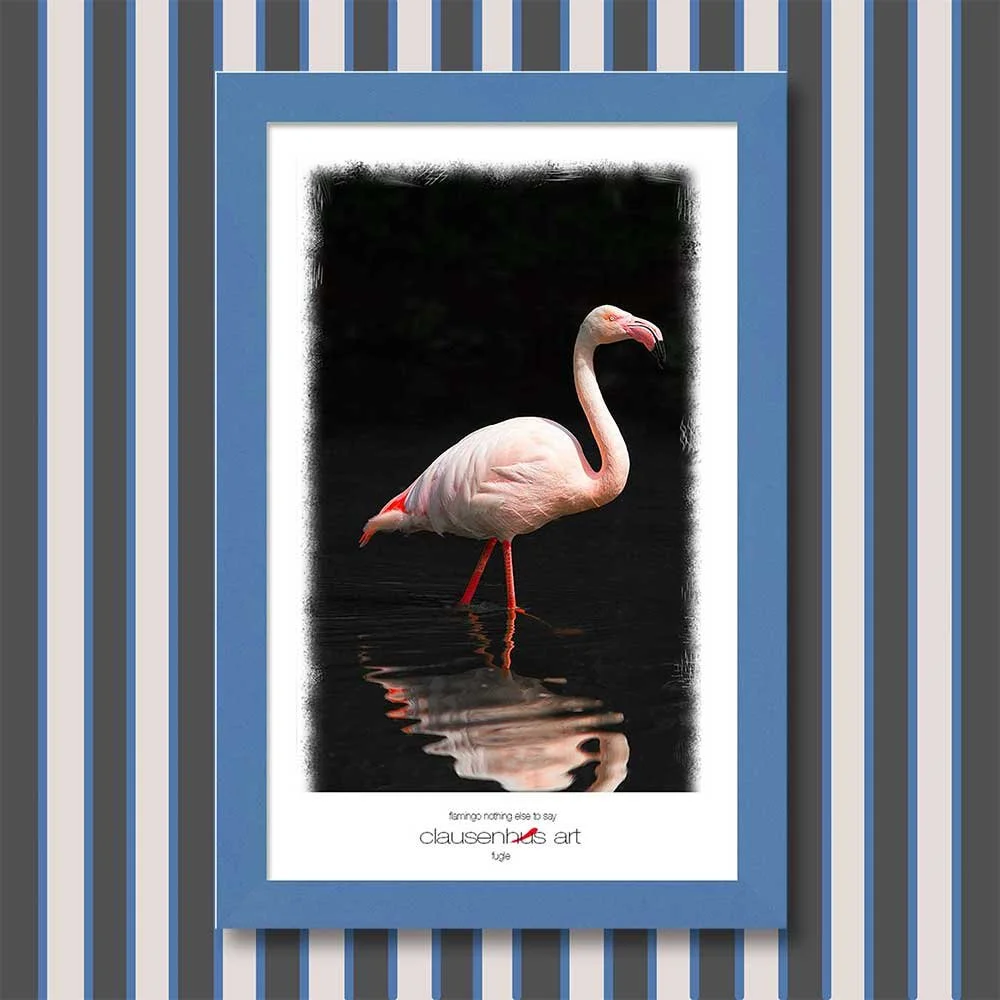 flamingo-nothing-else-to-say.jpg