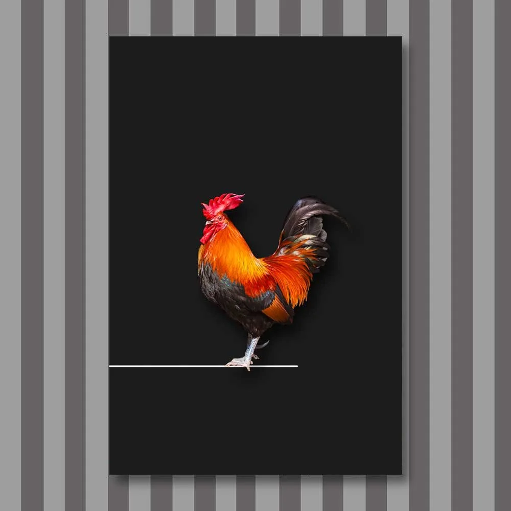 bird-1.jpg