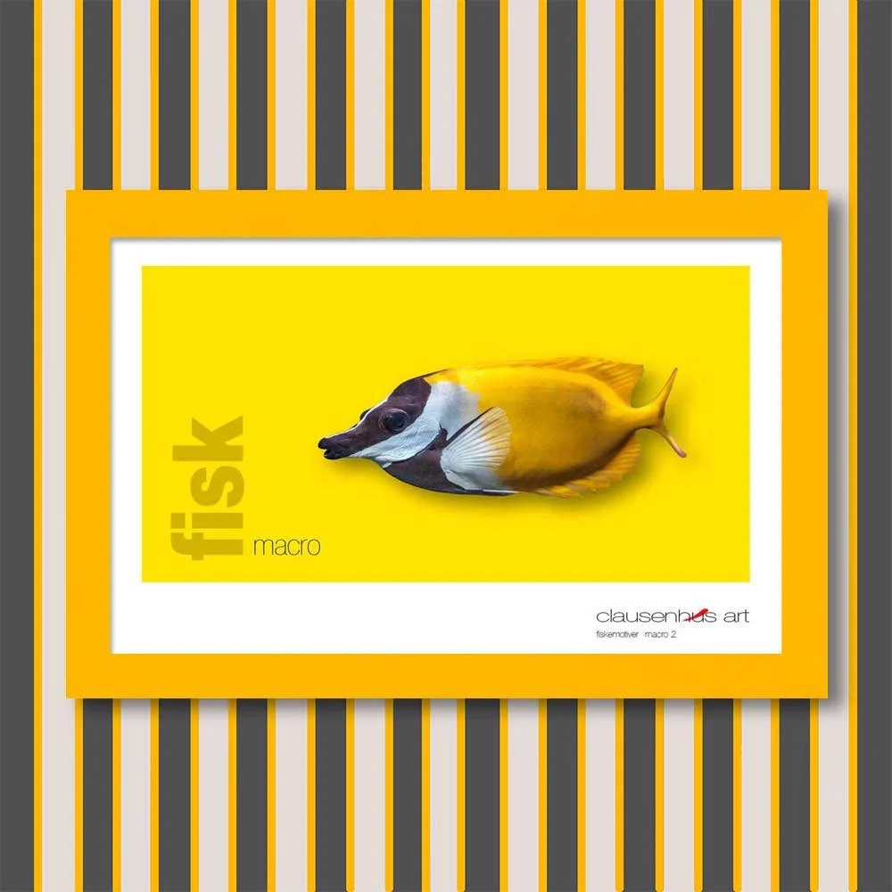 fiskemotiv-2-copy.jpg