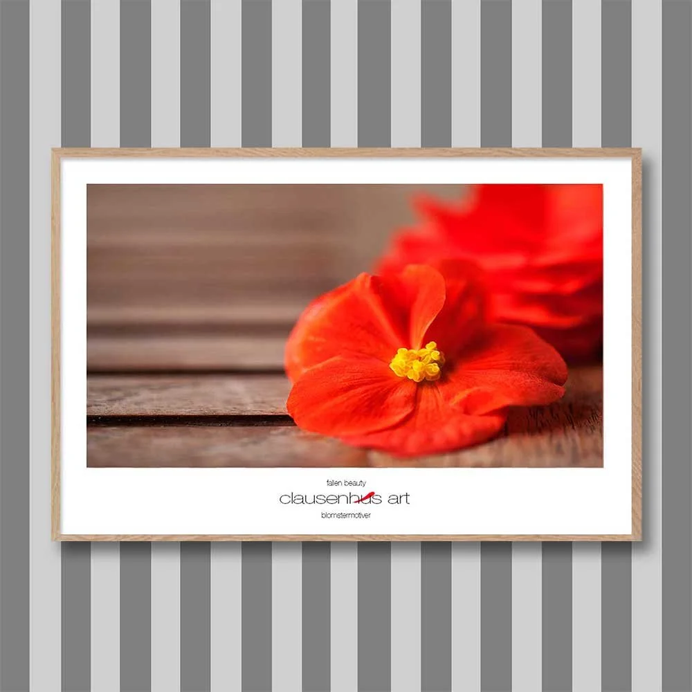 fallen-beauty-copy.jpg
