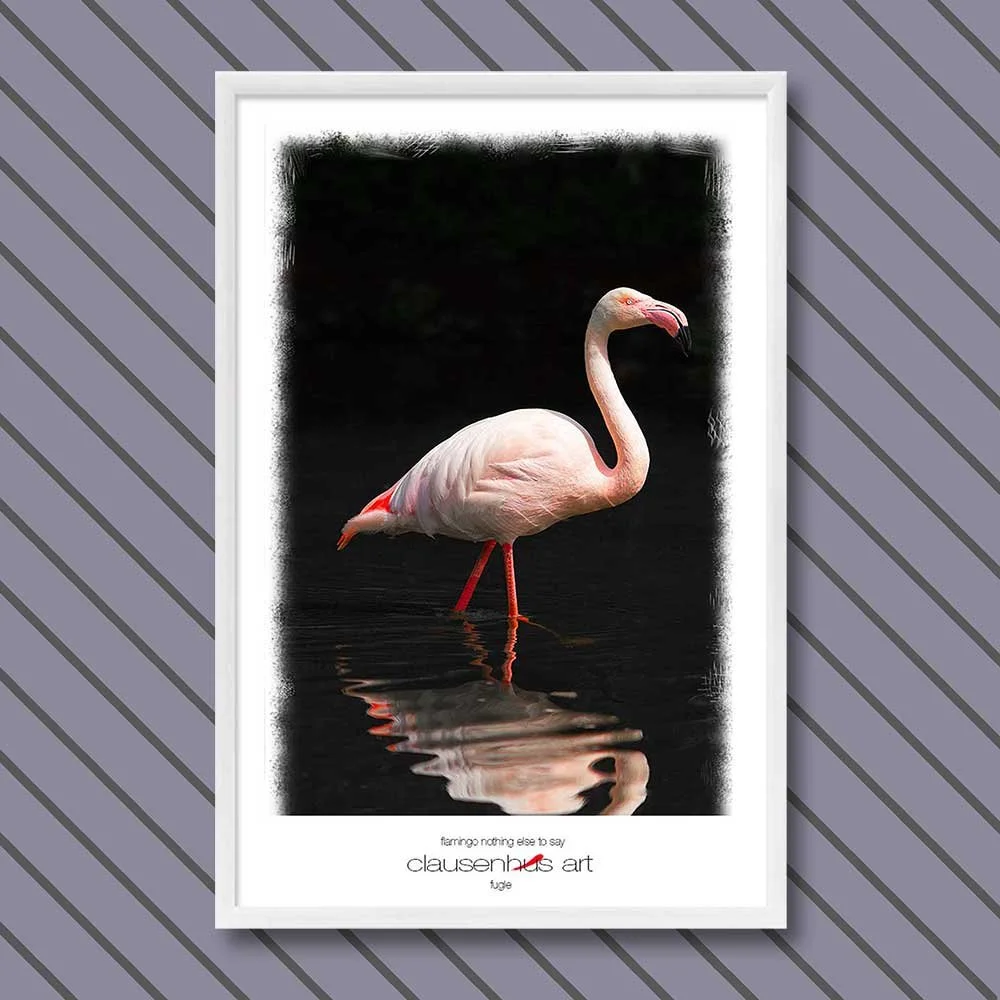 flamingo-nothing-else-to-say-copy.jpg