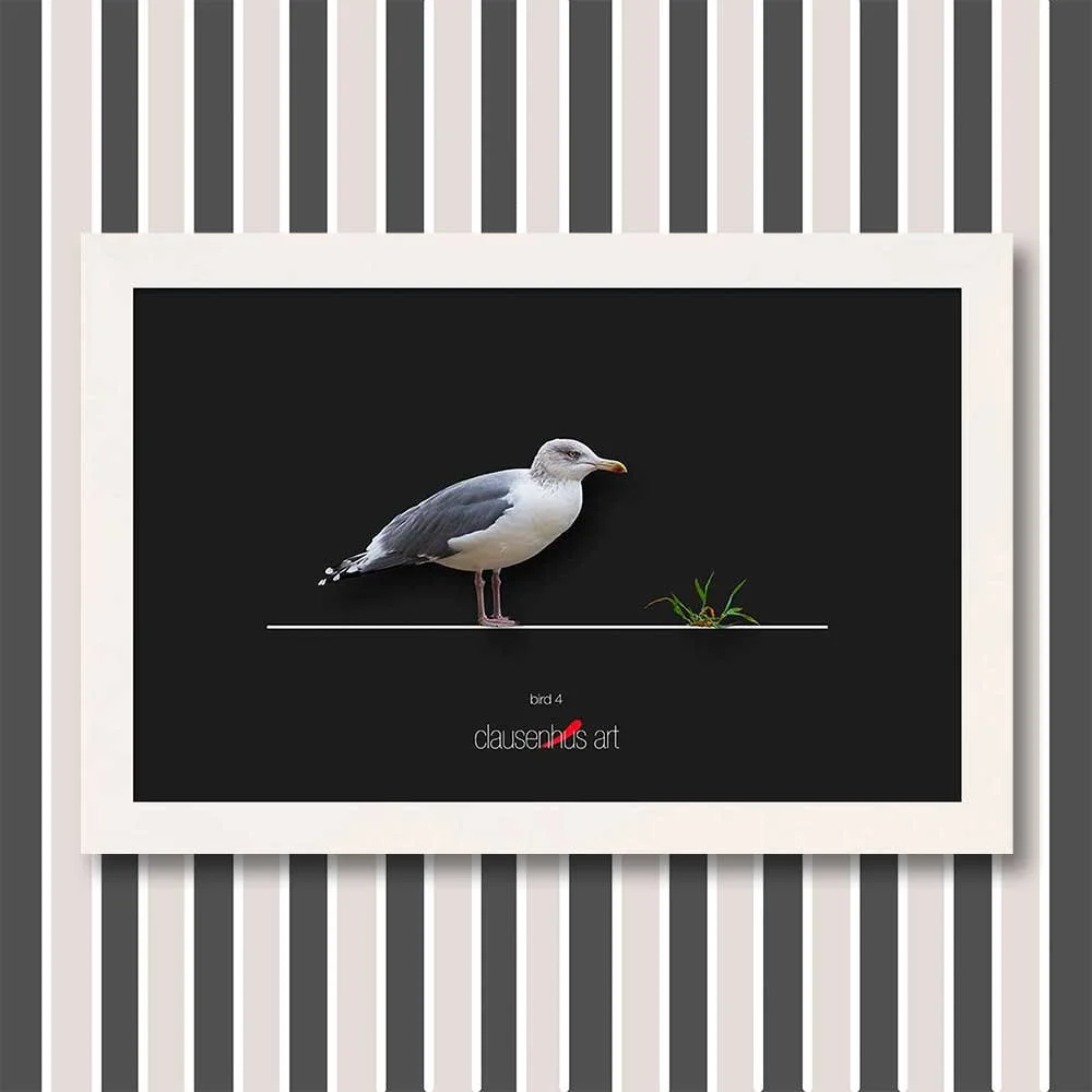 bird-4-copy.jpg