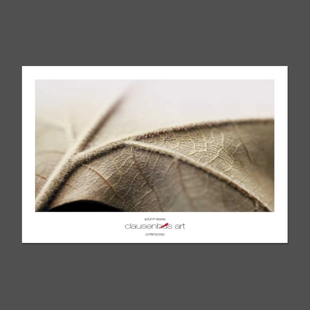 autumn-leaves.jpg