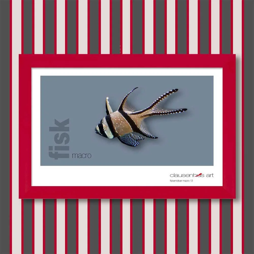 fiskemotiv-13-copy.jpg