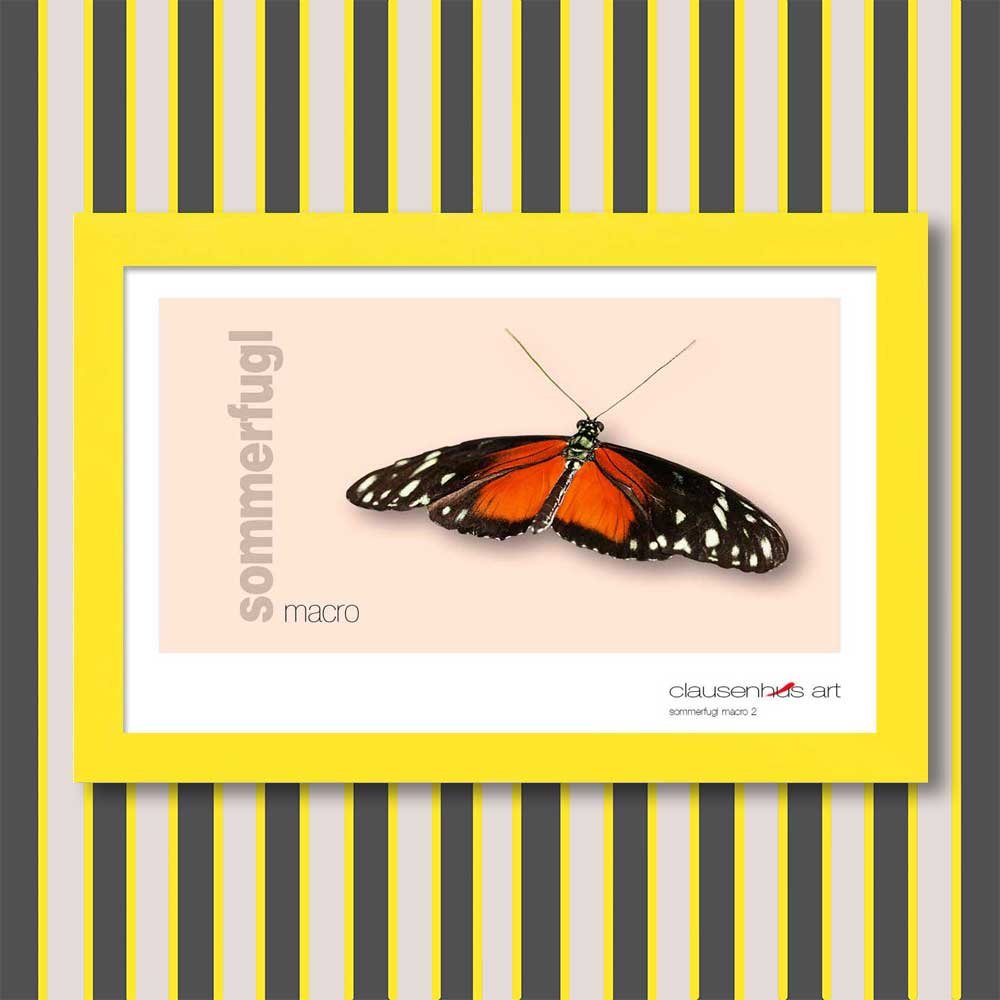 sommerfugl-2-copy.jpg