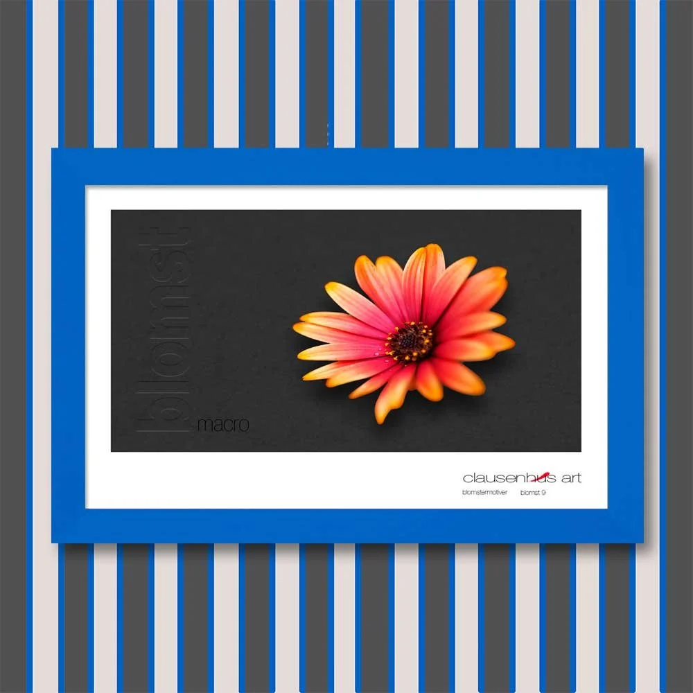 blomst-9.jpg