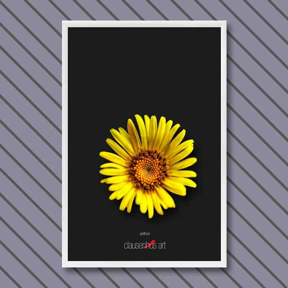 yellow-copy.jpg