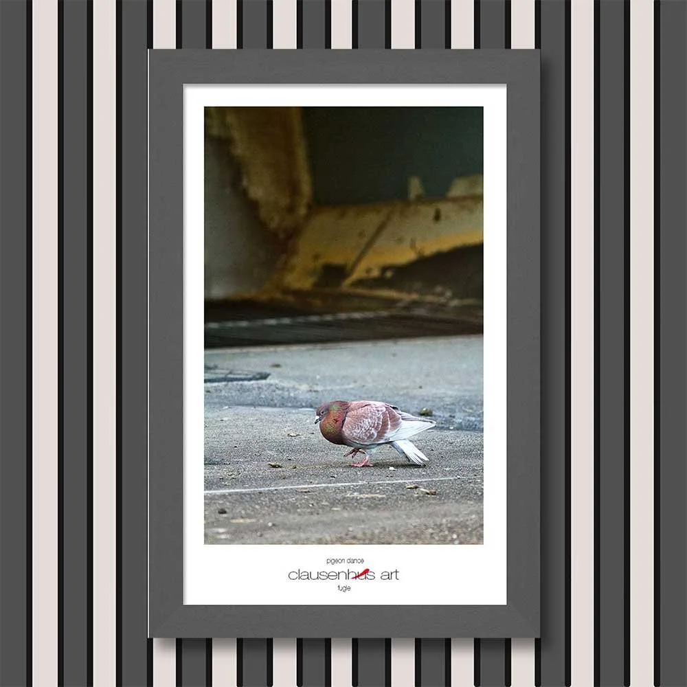 pigeon-dance-copy.jpg