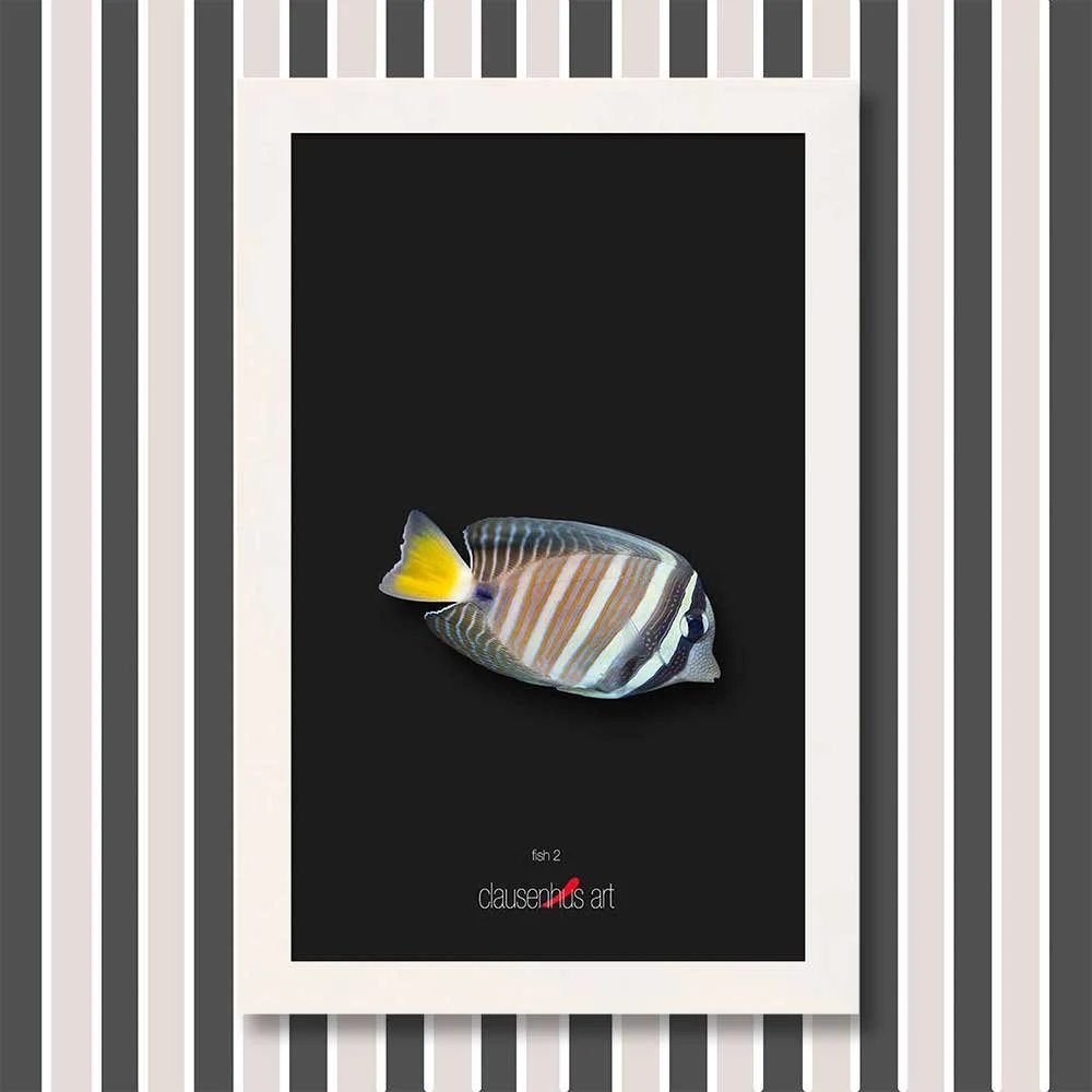 fish-2-copy.jpg