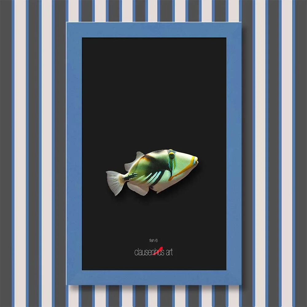 fish-6-copy.jpg
