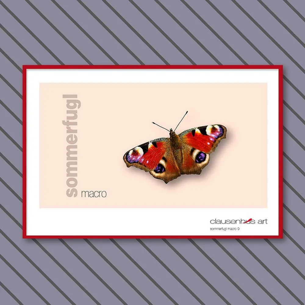 sommerfugl-9-copy.jpg