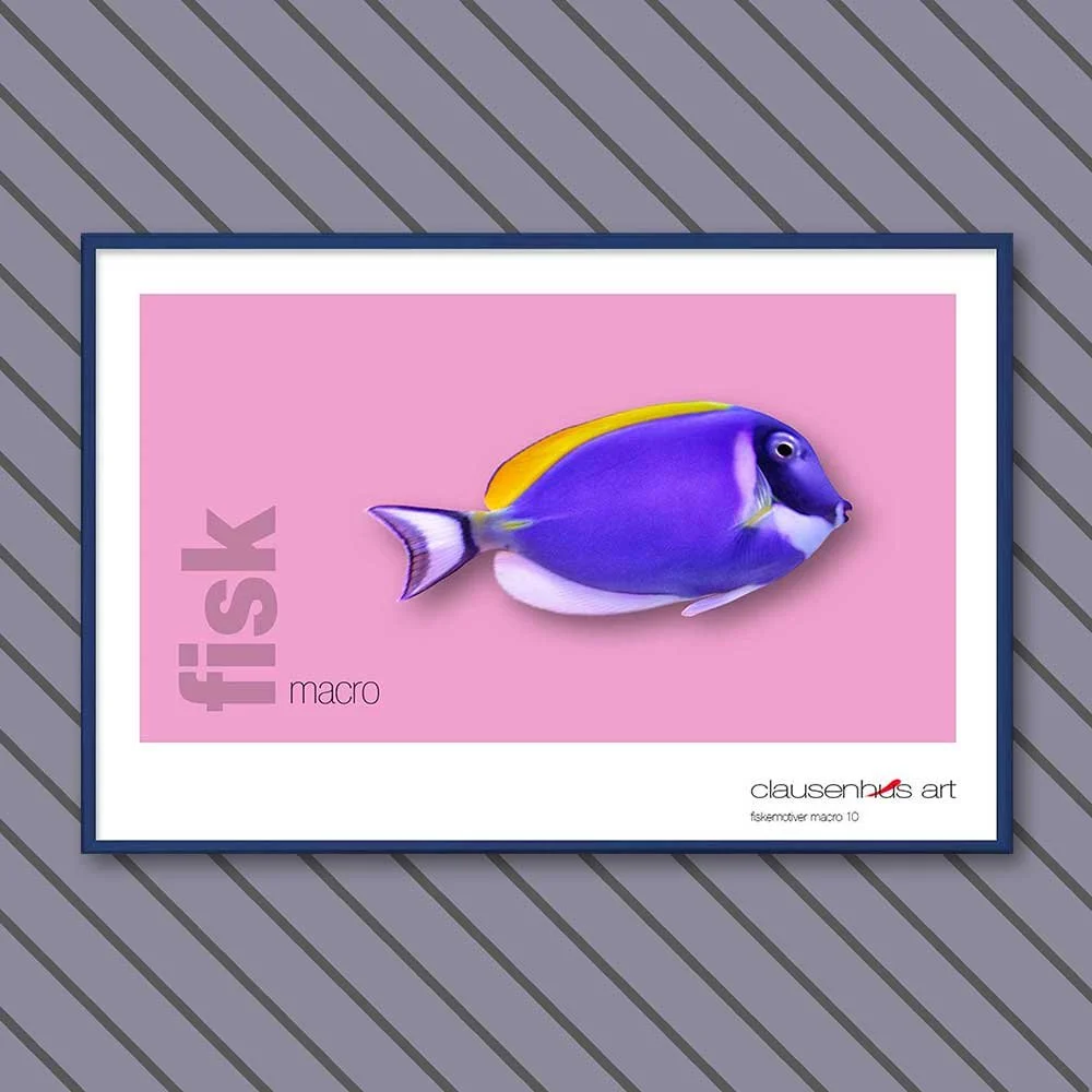 fiskemotiv-10-copy.jpg