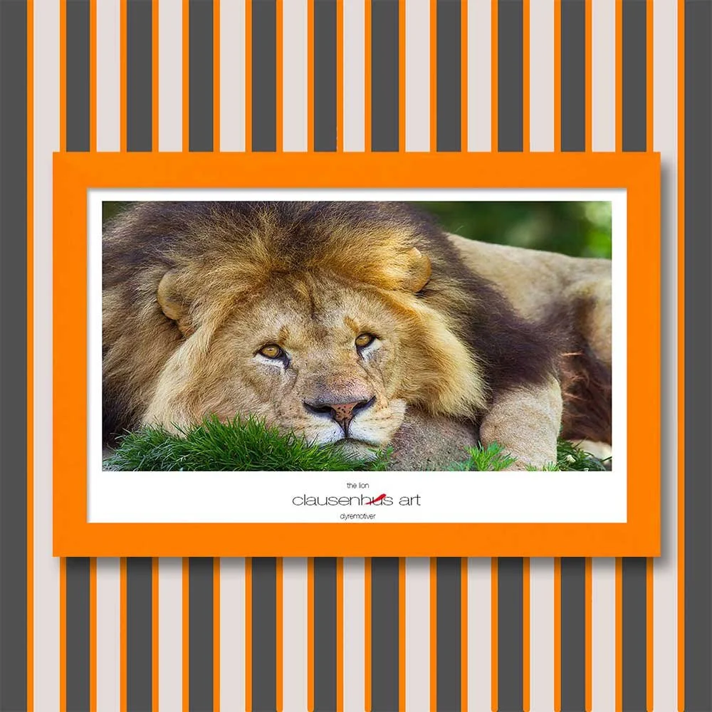 the-lion.jpg