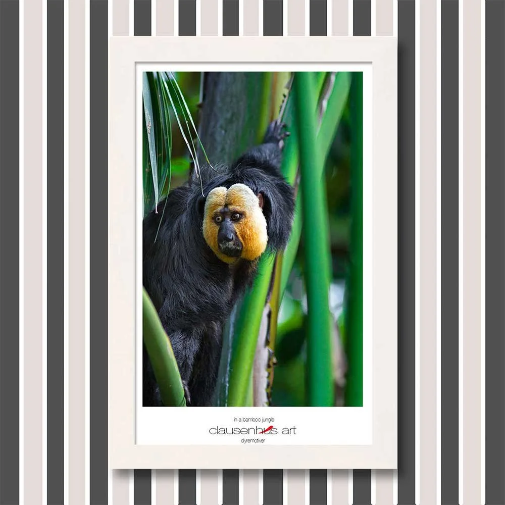 in-a-bamboo-jungle-copy.jpg