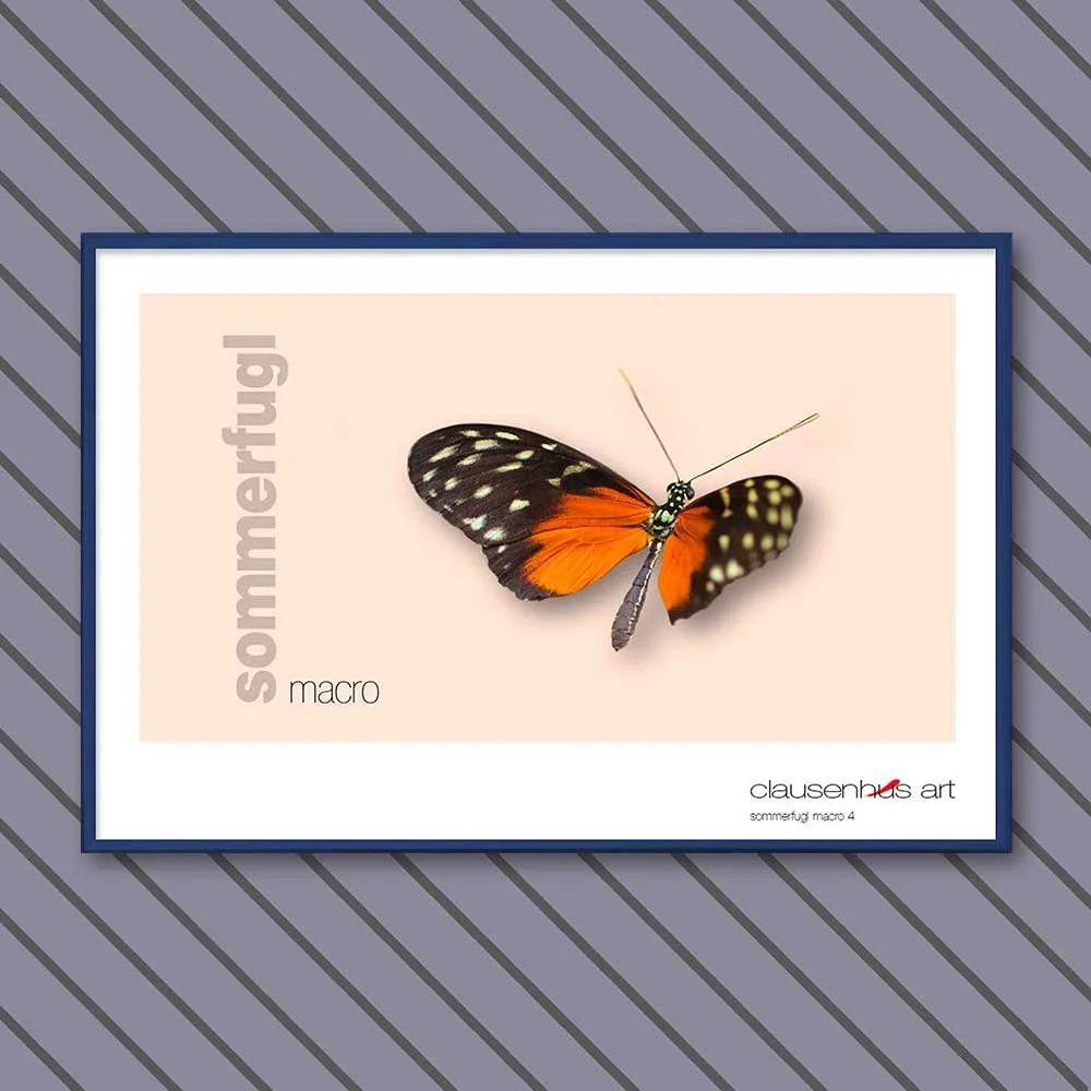 sommerfugl-4-copy.jpg