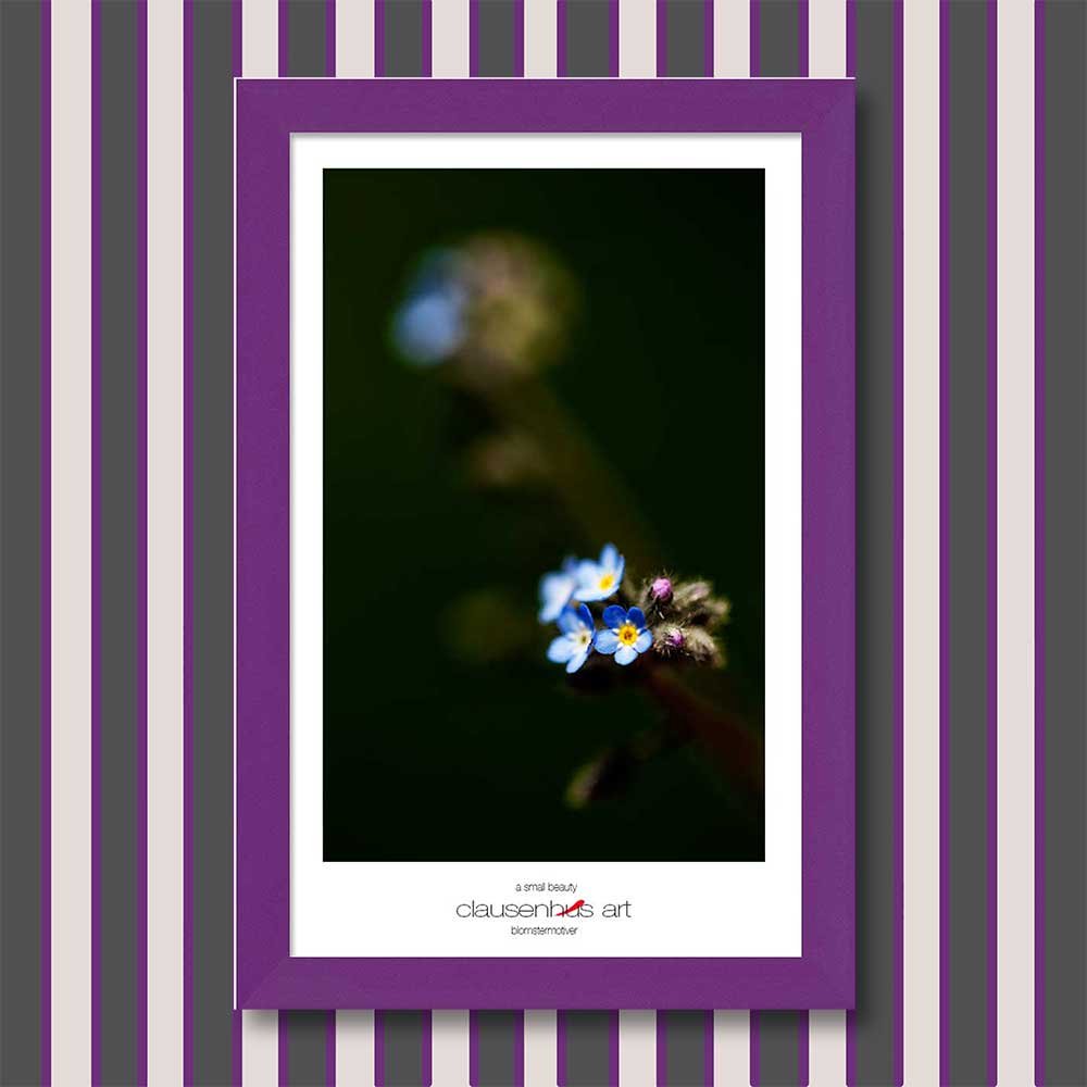 a-small-beauty-copy.jpg