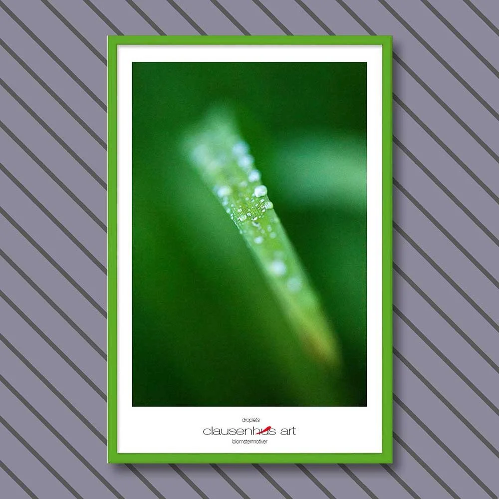 droplets-copy.jpg