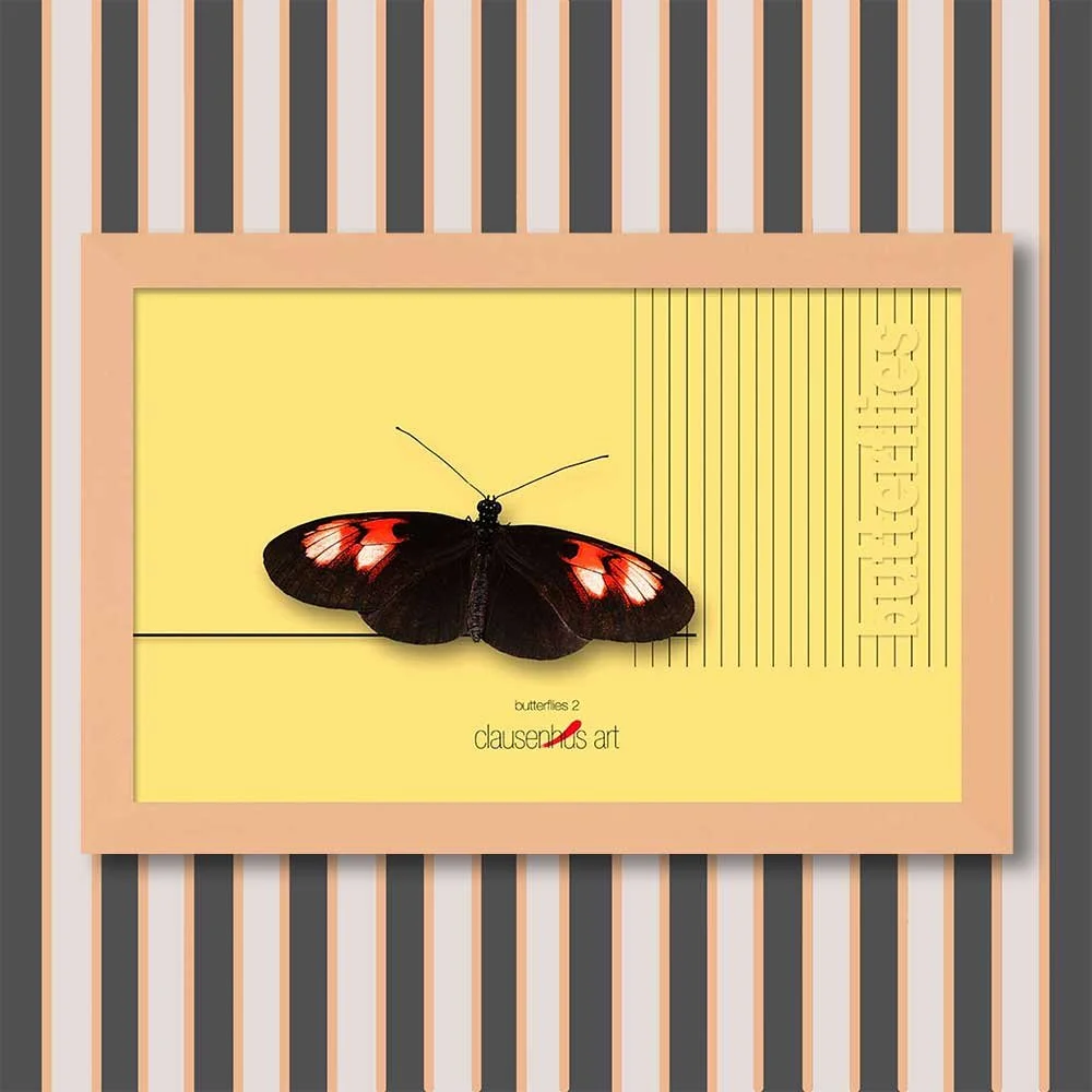 butterflies-2-copy.jpg