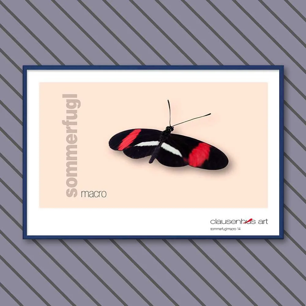 sommerfugl-14-copy.jpg