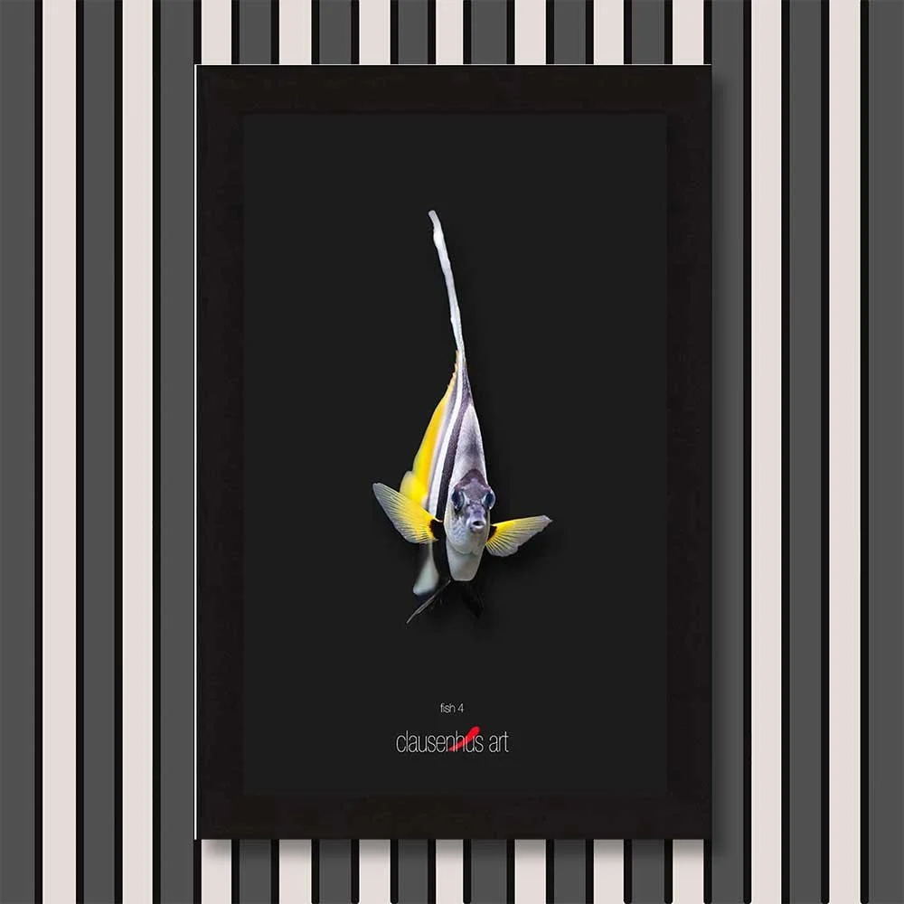 fish-4-copy.jpg