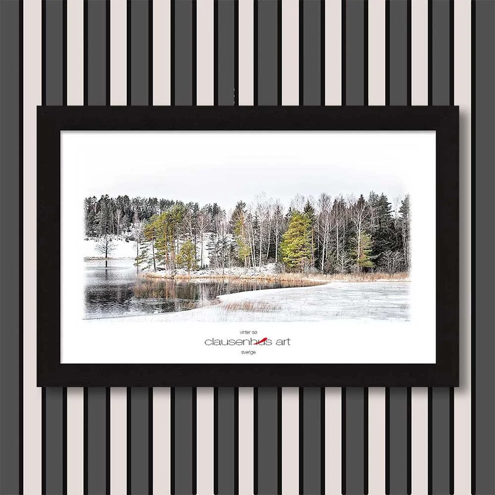 vinter-sø-copy.jpg