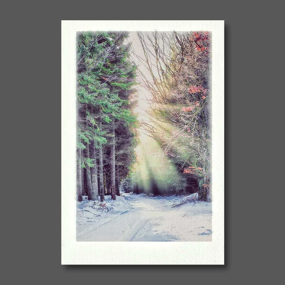 on-the-way-home-to-the-fireplace.jpg