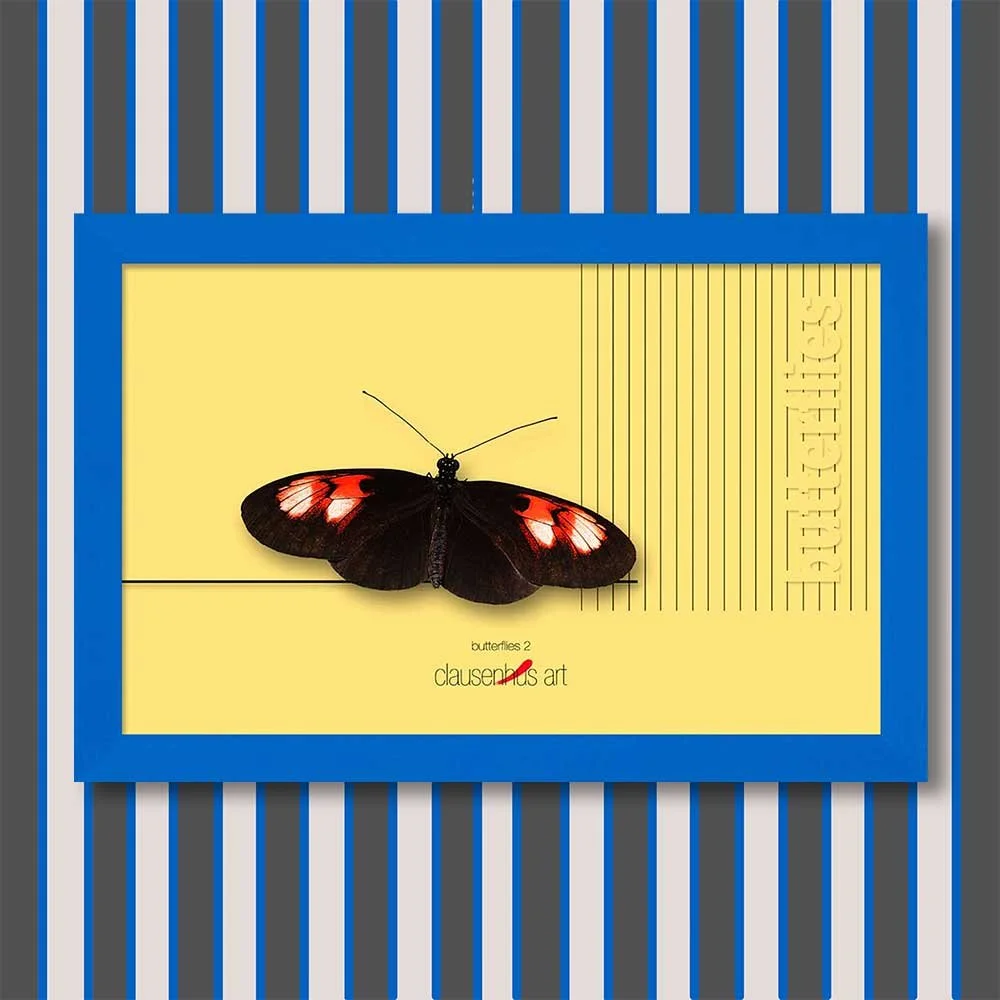 butterflies-2-copy.jpg