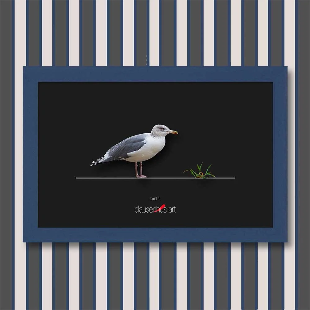 bird-4-copy.jpg