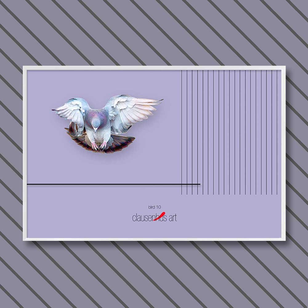 bird-10-copy.jpg