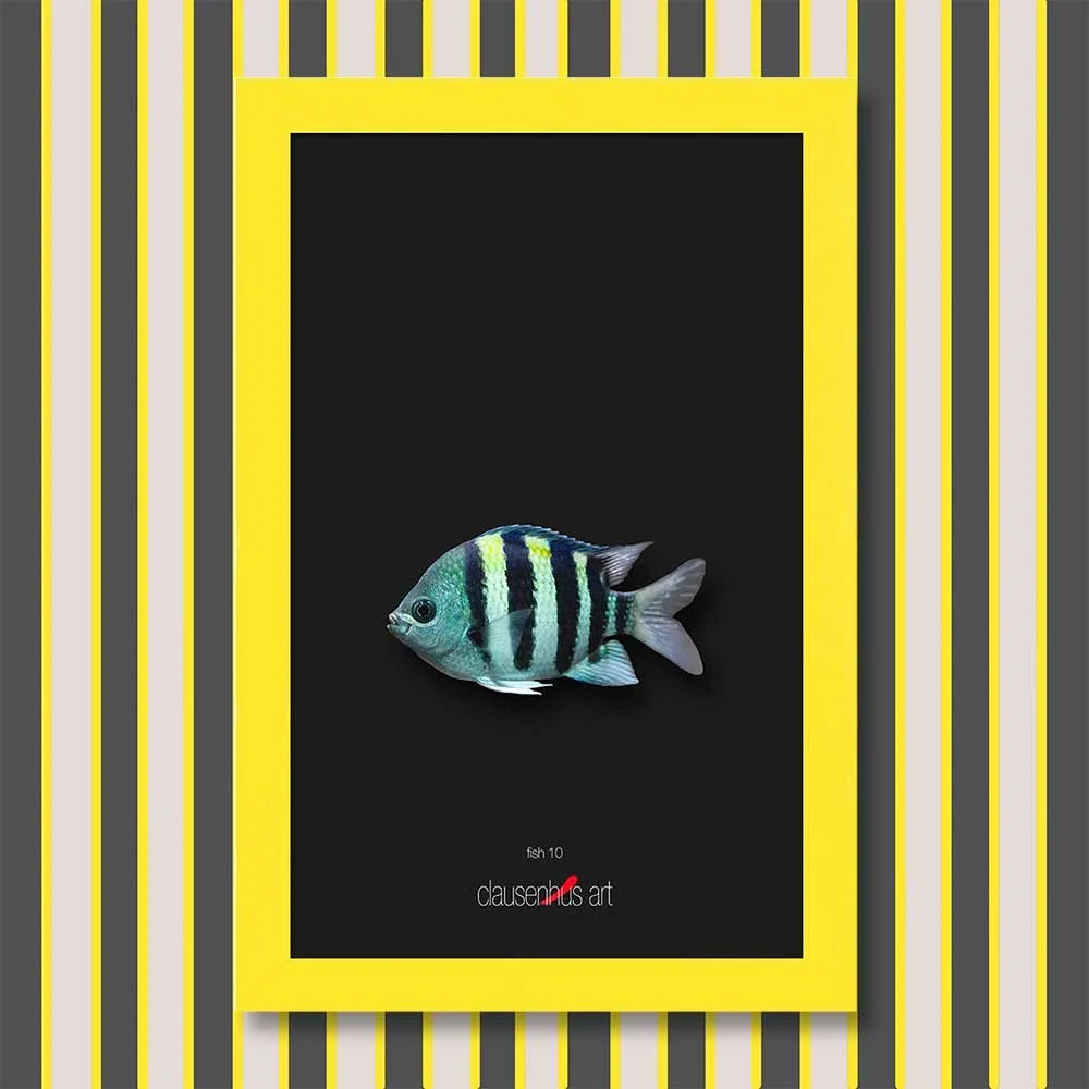 fish-10-copy.jpg